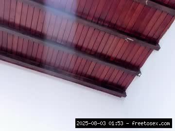 Bigboobs, Bigass, Latina, 18, Fuckmachine..., phonesex 3