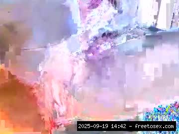 New, Live..., Toyplay 14
