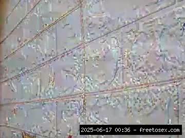 New, Live..., Sex 14