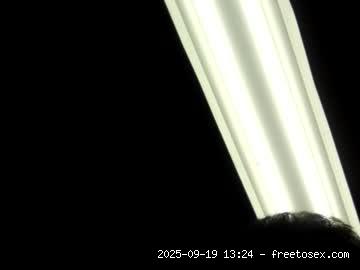 New, Live..., Cock 0